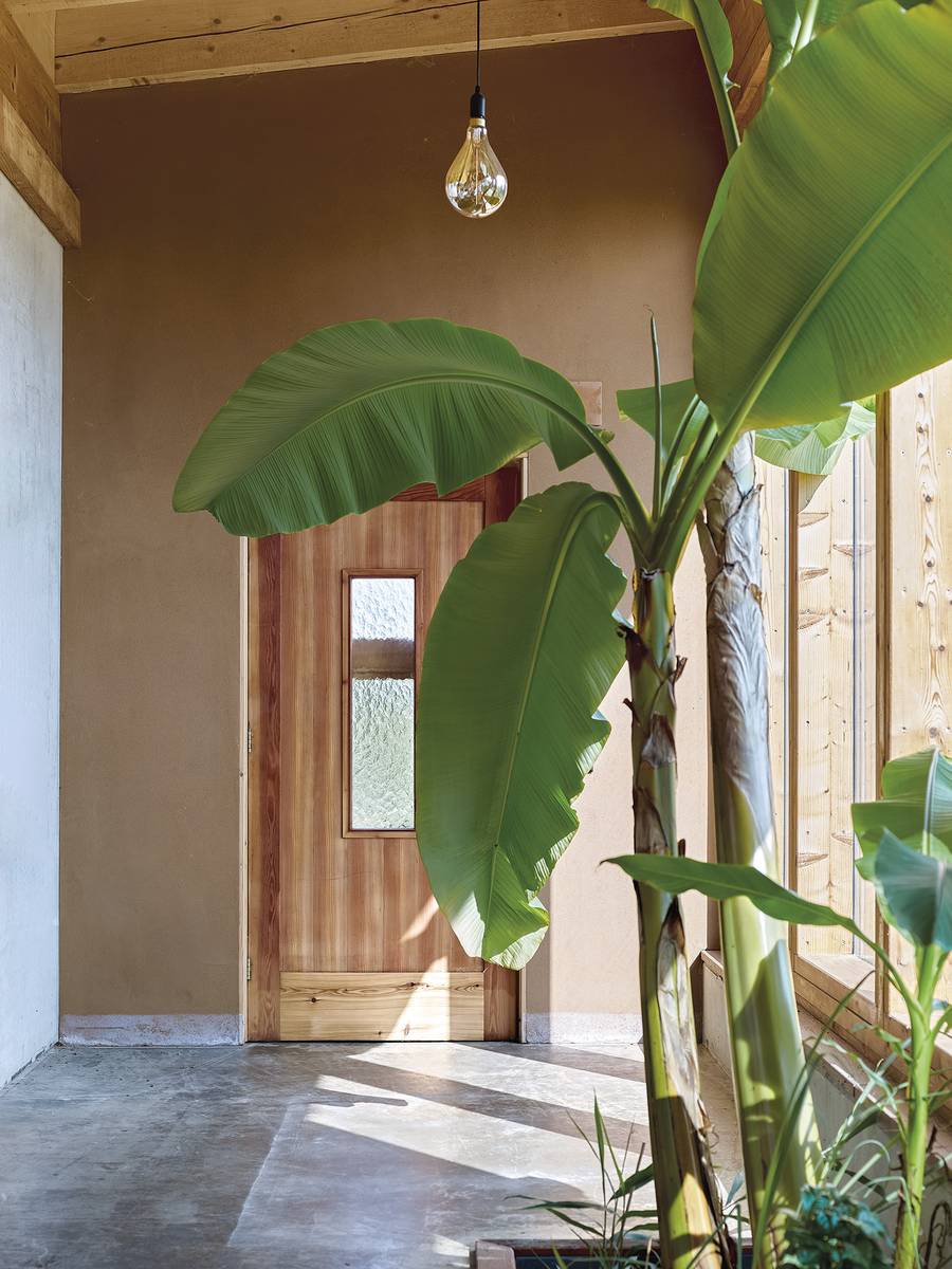 Planting inside the glass corridor beside the doors